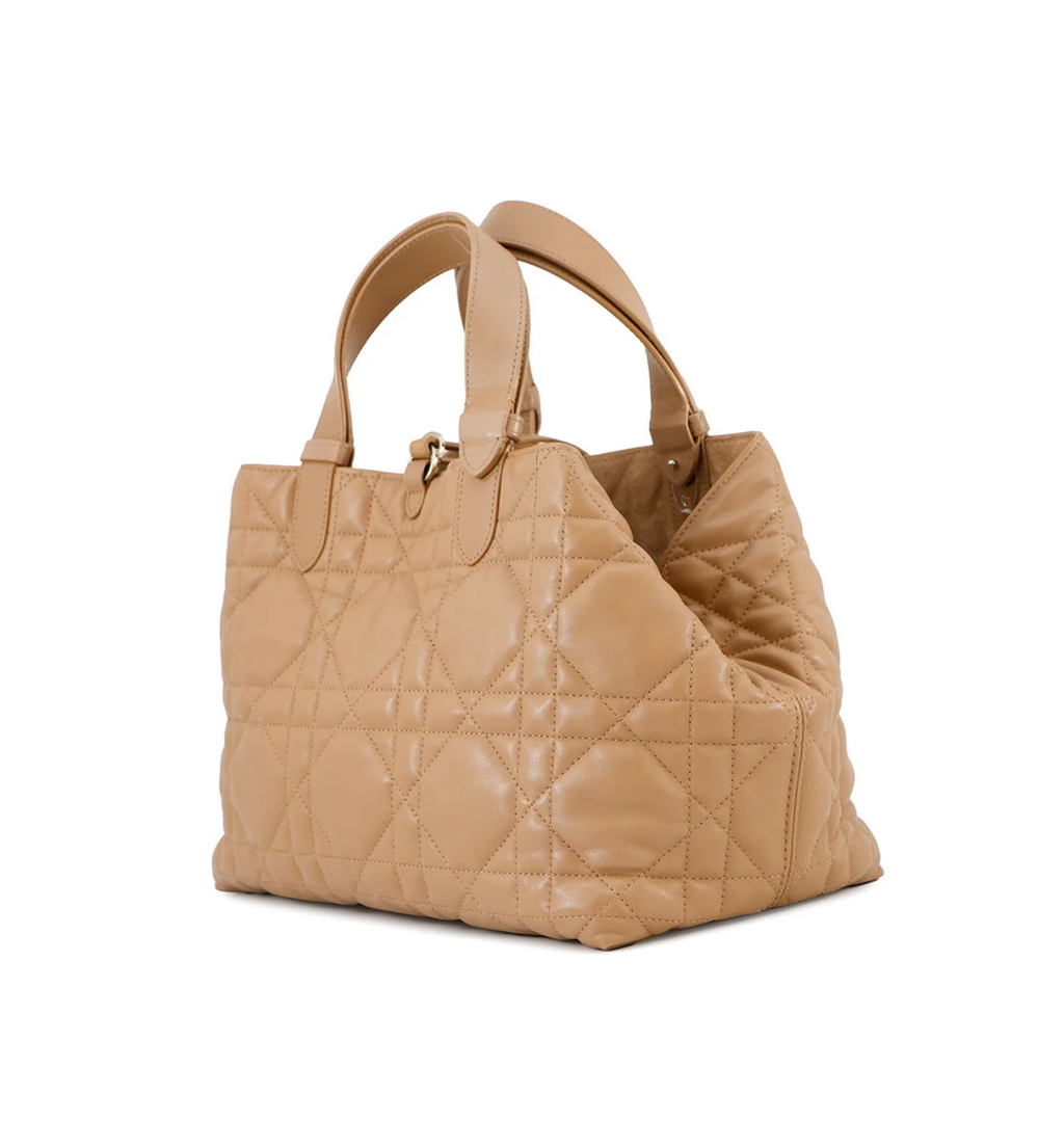 DIOR Tou Jules Handbag