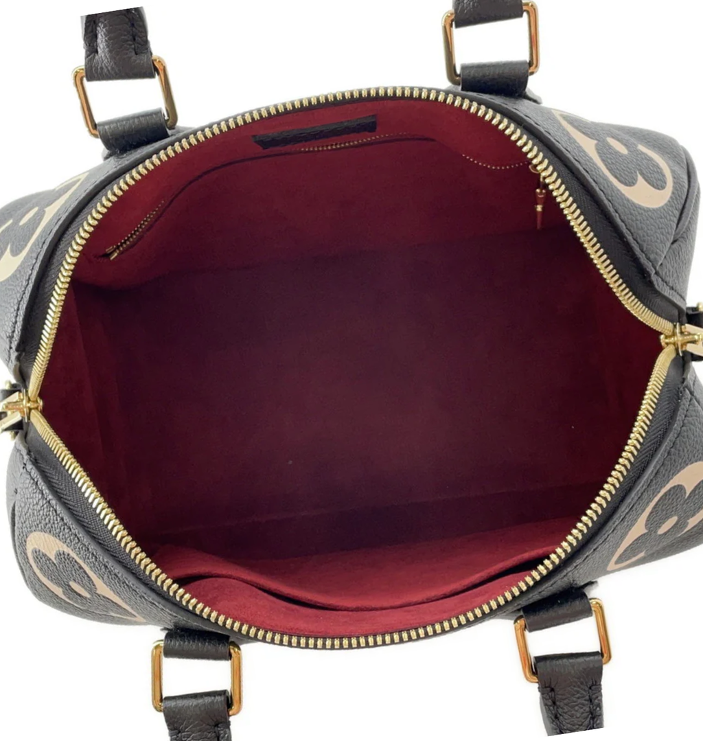 LOUIS VUITTON Speedy 25 Bandouliere Bicolor Monogram Bag